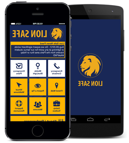 image of mobile phones with the Lion Safe app pulled up